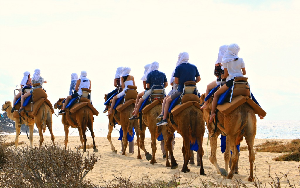 camel riding in Los Cabos, Mexico 