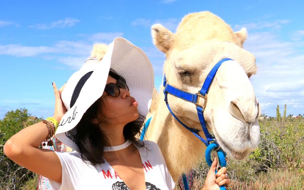 kissing camels in Los Cabos Mexico with Cabo Adventures