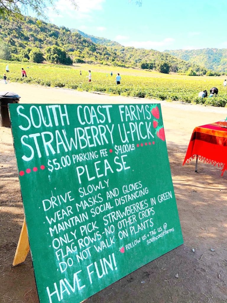 South Coast Farms rules on Ortega Highway - livingmividaloca.com