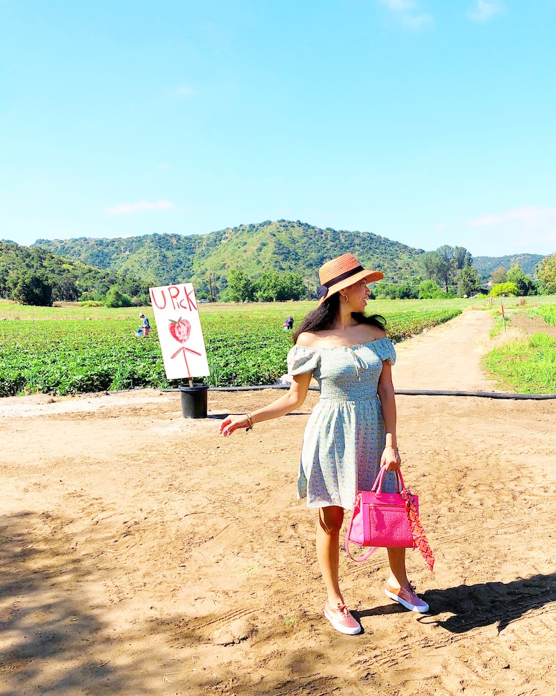 Strawberry Picking in San Juan Capistrano at South Coast Farms - livingmividaloca.com