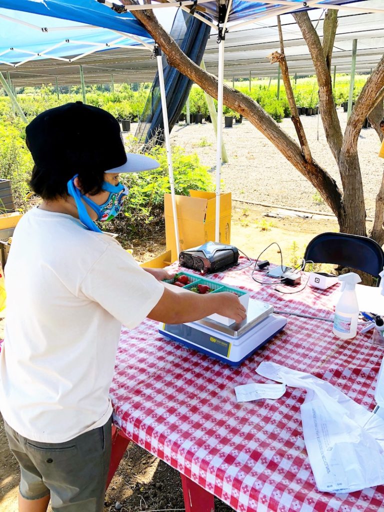 Paying for strawberries at South Coast Farms - livingmividaloca.com