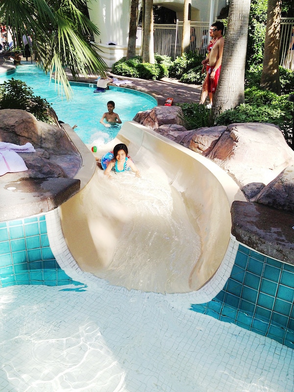 flamingo las vegas pool waterslide