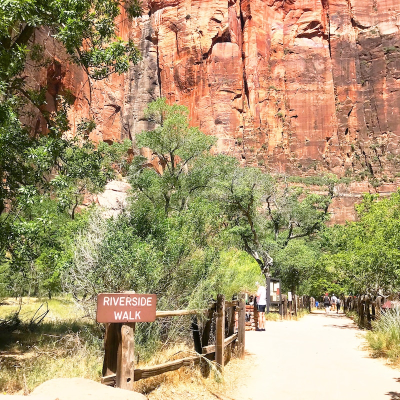 Car camping at Zion National Park with kids. - livingmividaloca.com