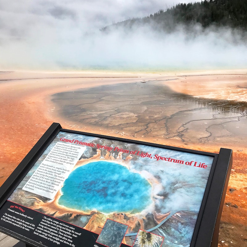 Road trip to Yellowstone with kids and car camping along the way - livingmividaloca.com