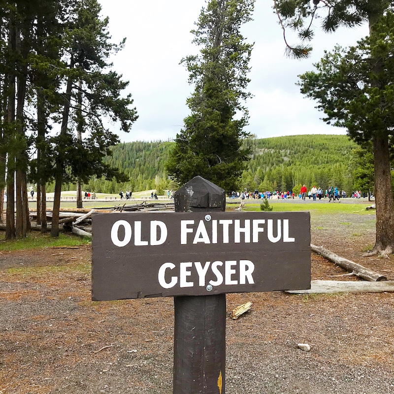 Road trip to see Old Faithful Geyser at Yellowstone with kids and car camping along the way - livingmividaloca.com