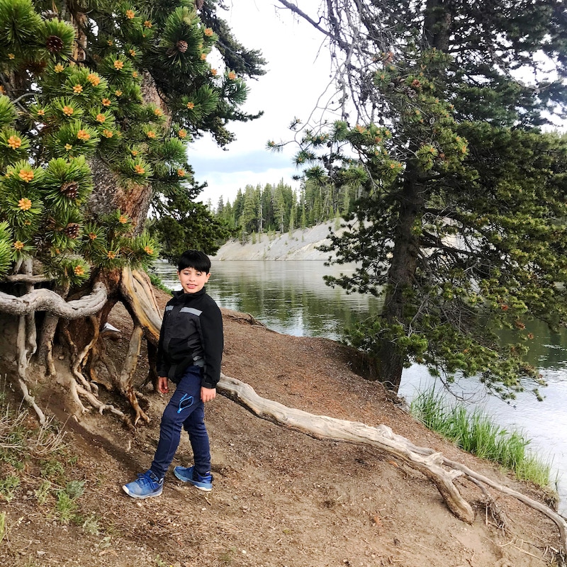 Yellowstone with kids and car camping along the way - livingmividaloca.com