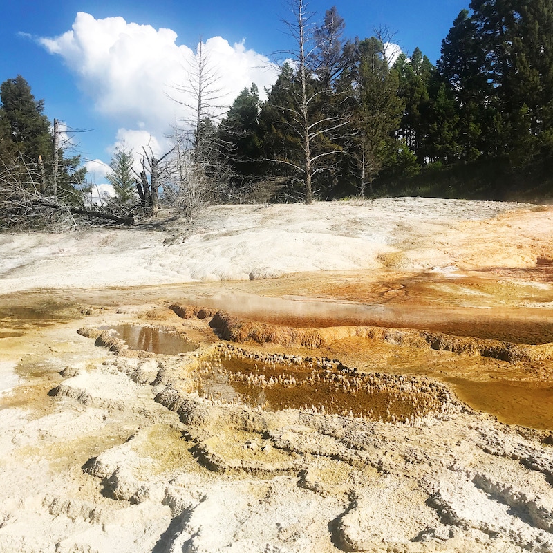 Mammoth Springs with kids and car camping along the way - livingmividaloca.com