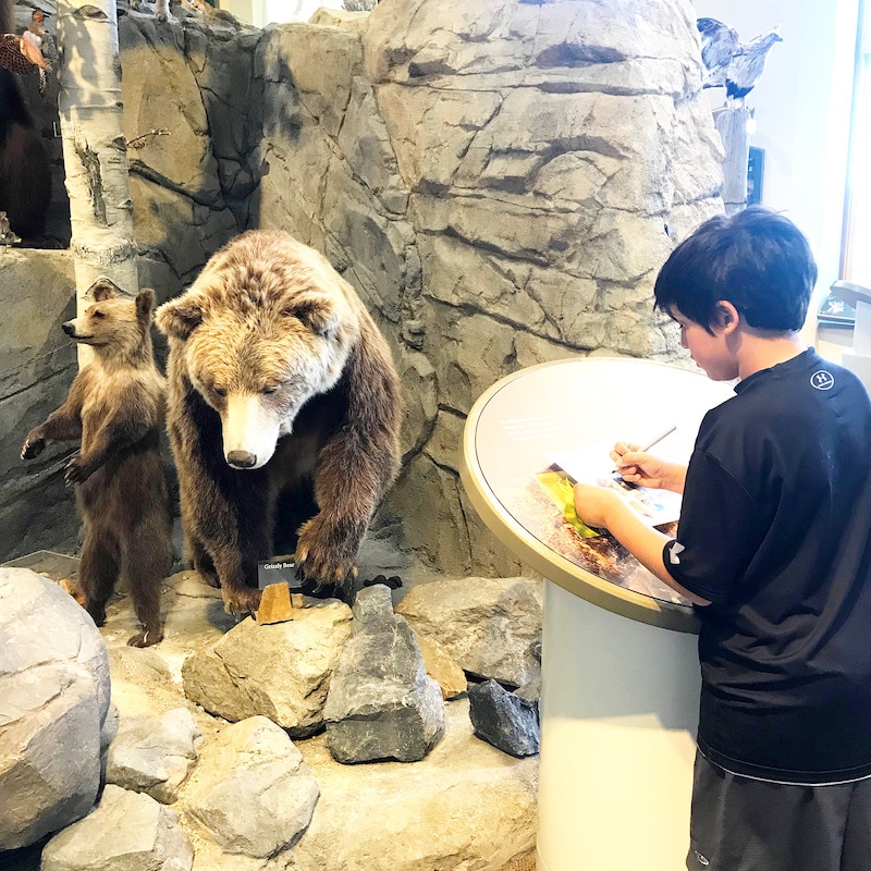 Free things to do in Helena Montana with kids