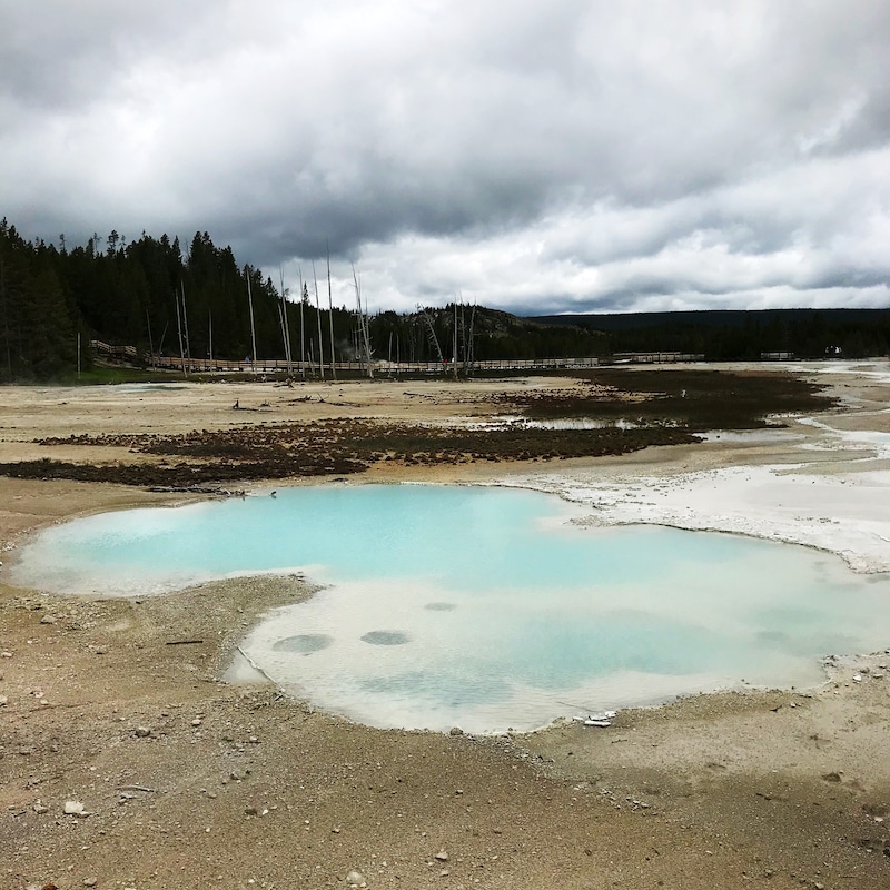 Road trip to Yellowstone with kids and car camping along the way - livingmividaloca.com