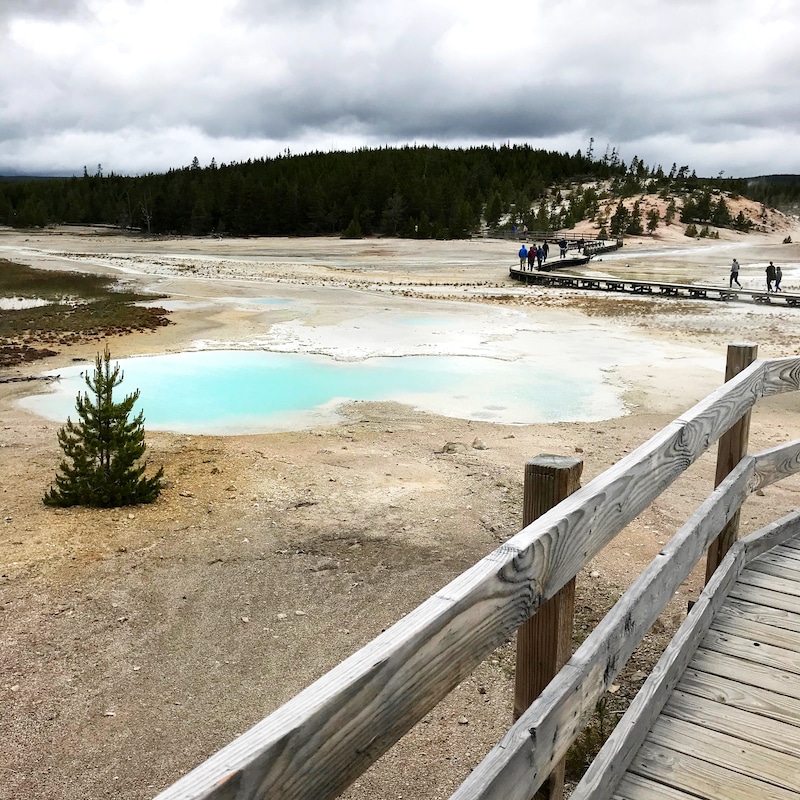 Road trip to Yellowstone with kids and car camping along the way - livingmividaloca.com