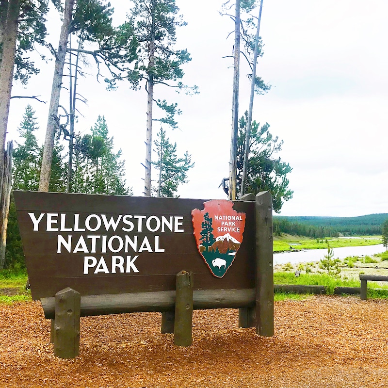 Road trip to Yellowstone with kids and car camping along the way - livingmividaloca.com