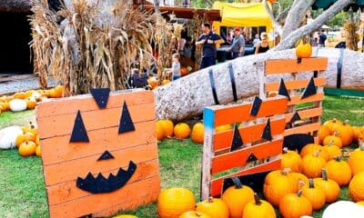 Halloween events in Orange County - livingmividdaloca.com