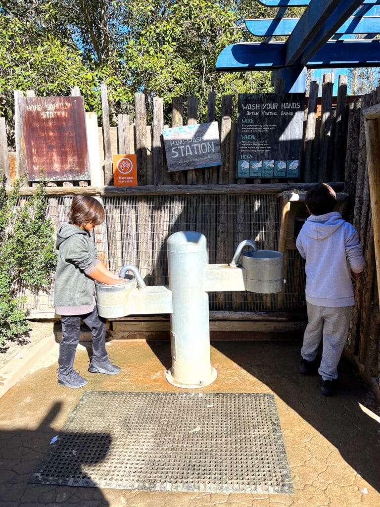 Handwashing at Petting Kraal