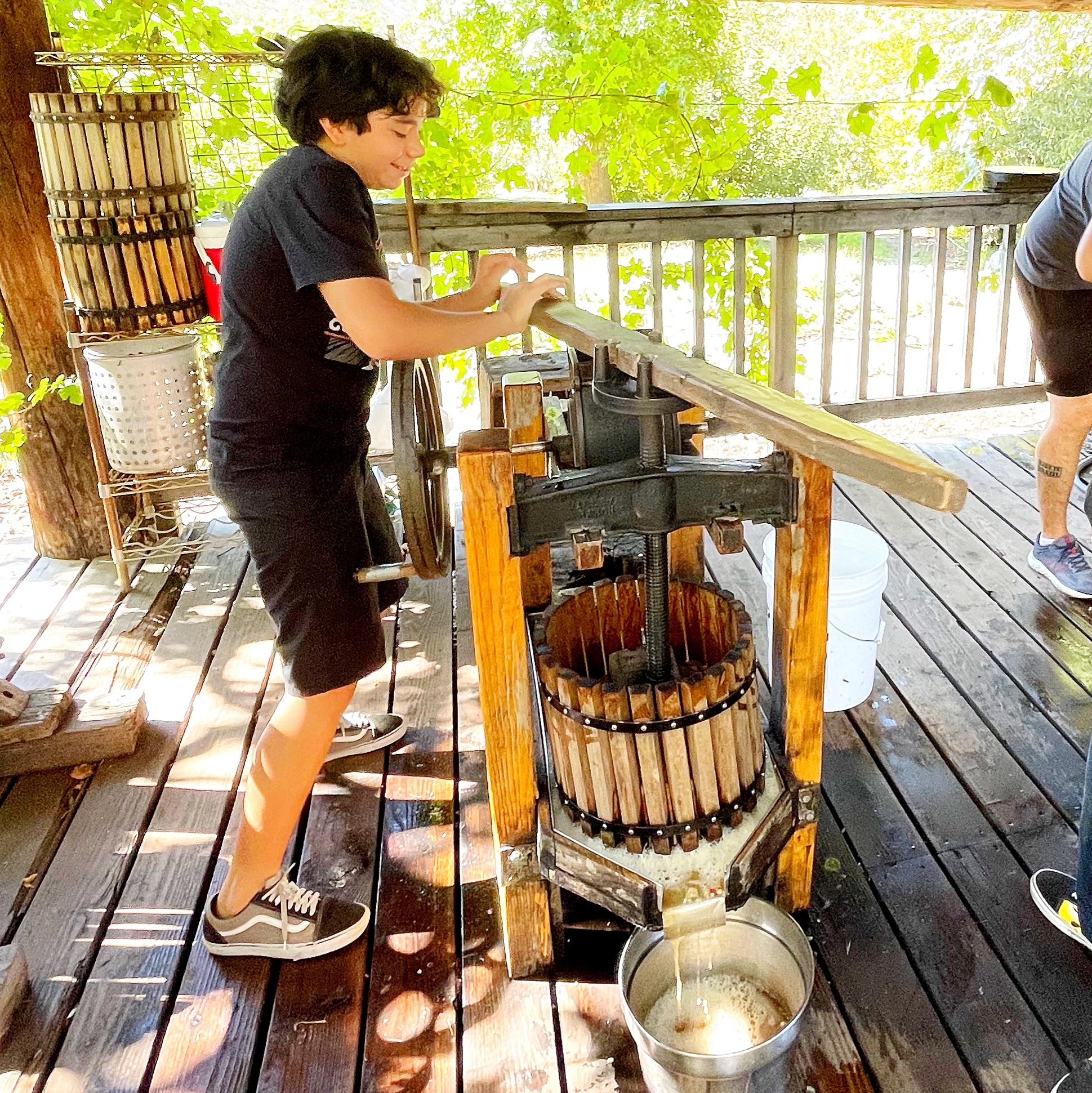 Make your own apple cider in Oak Glen