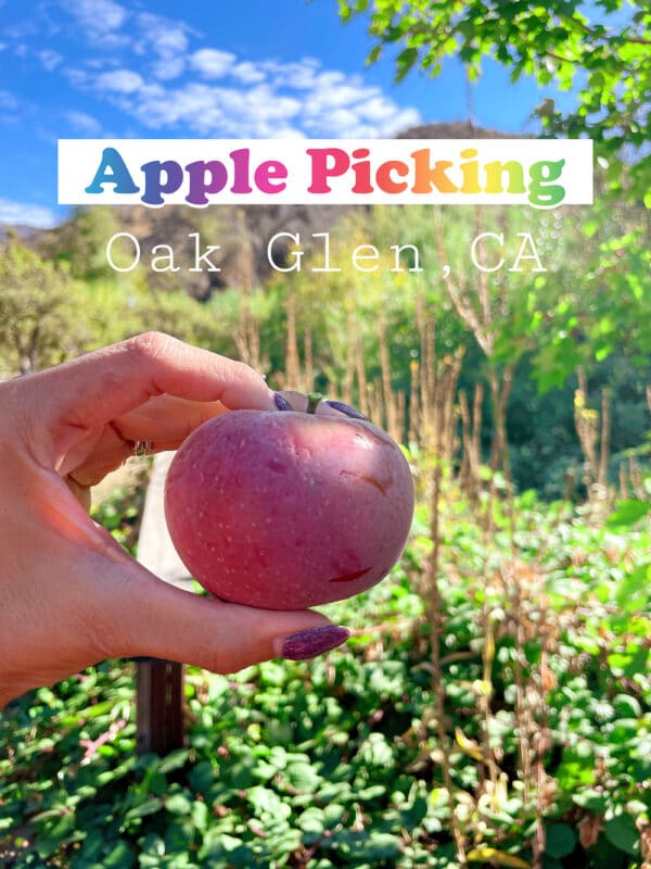 Apple picking in Oak Glen, California