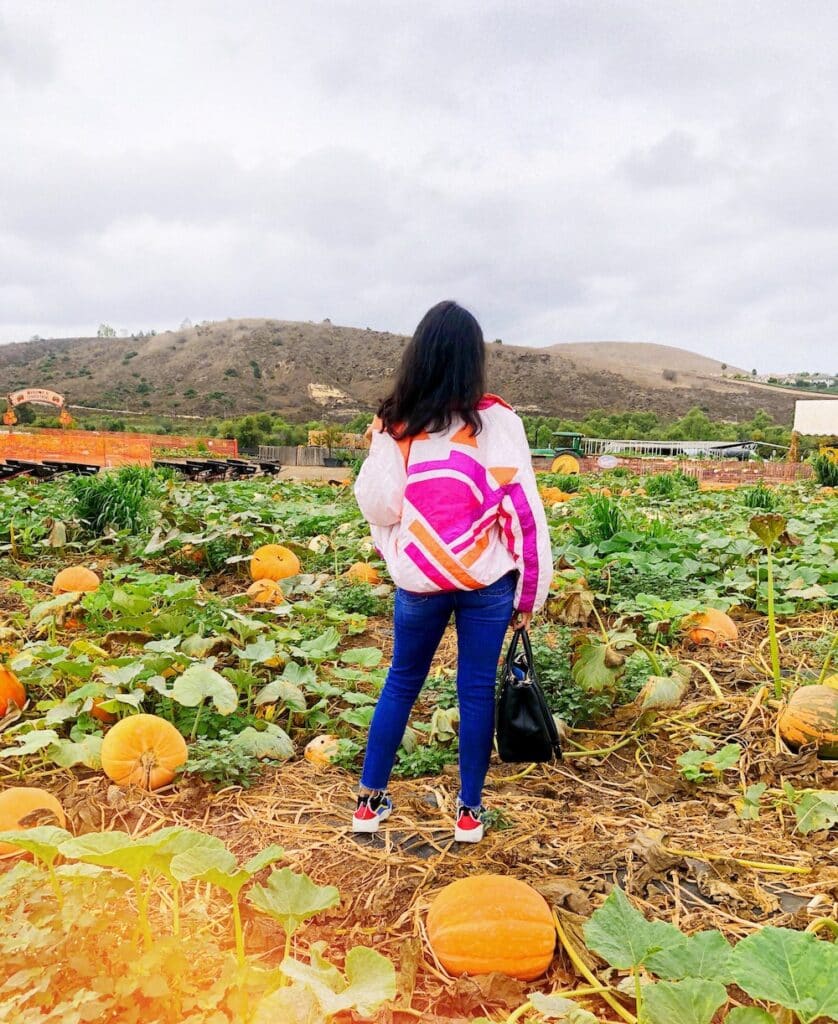 Tanaka Farms in Irvine