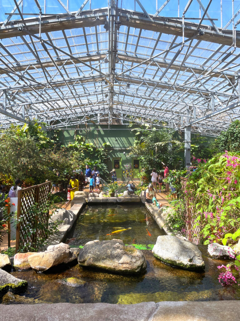 Butterfly Conservatory Arizona