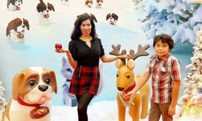 where to take pictures with Elf on the Shelf photo opp at MainPlace Mall