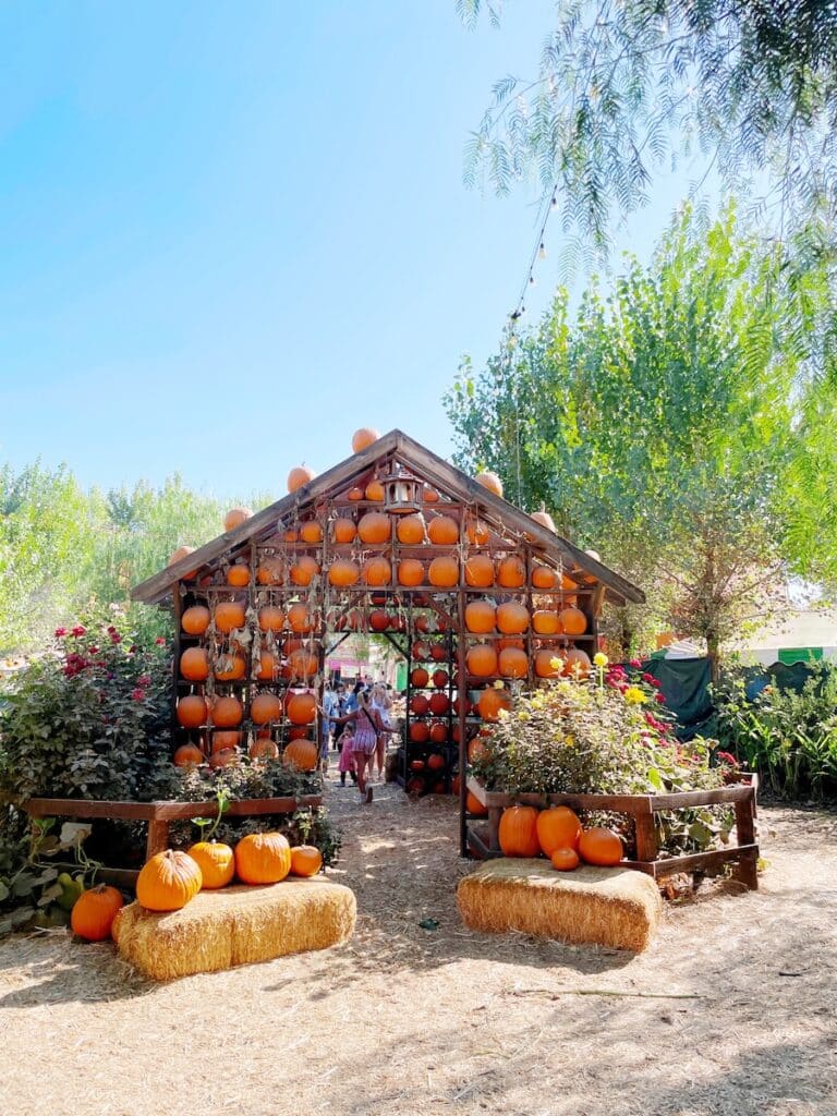 Pumpkin house at Live Oak Glen